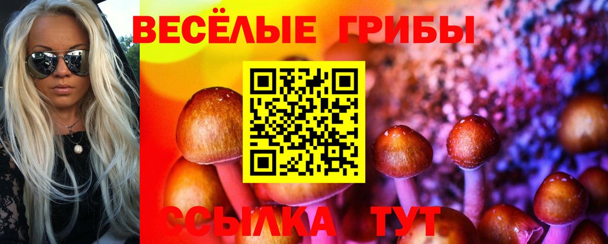 Псилоцибиновые грибы Psilocybine cubensis Полысаево