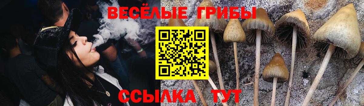 Псилоцибиновые грибы Psilocybe  Галлюциногенные грибы Psilocybine cubensis  Полысаево  Вход с VPN 